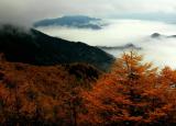 太白山的风