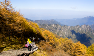 国庆假期第四天 赏太白山秋韵正当时