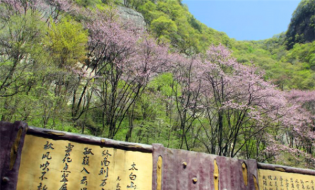 只为遇见最美的你,“女神节”优惠来袭