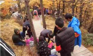 游人高山重度昏迷――太白山救援队及时启动应急预案
