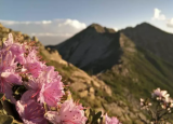 春暖花开时,相遇太白山