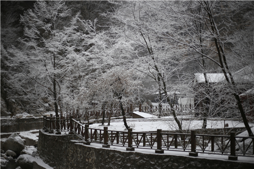 “雪”色浪漫
