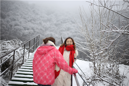 雪地幸福