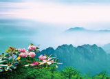 5.19中国旅游日半价畅游太白山、红河谷