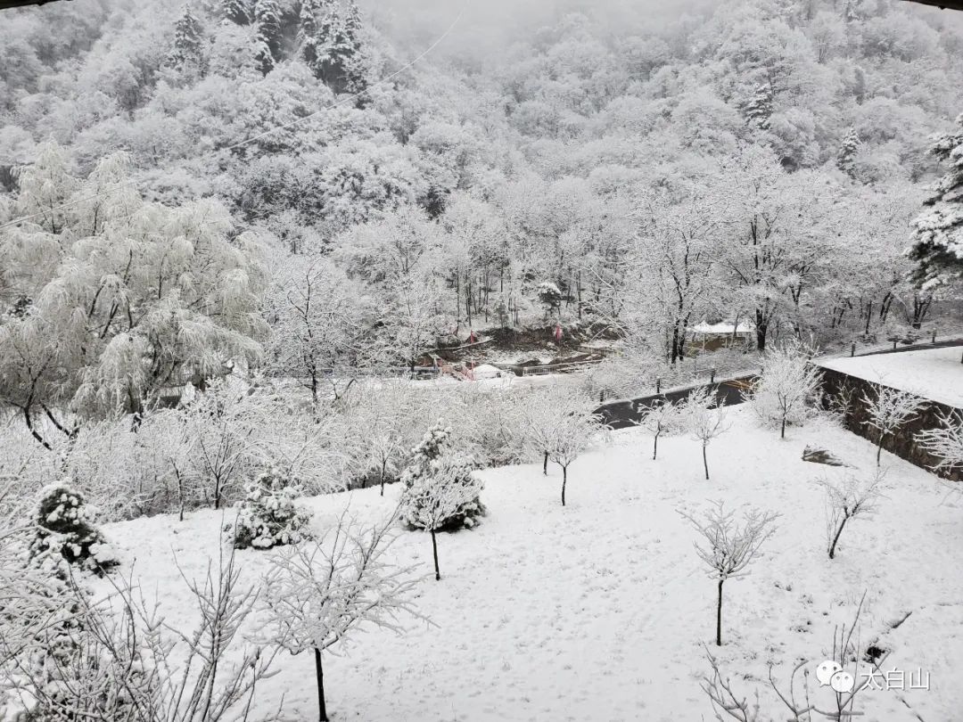 秦岭太白山迎来六月降雪-中国气象局政府门户网站