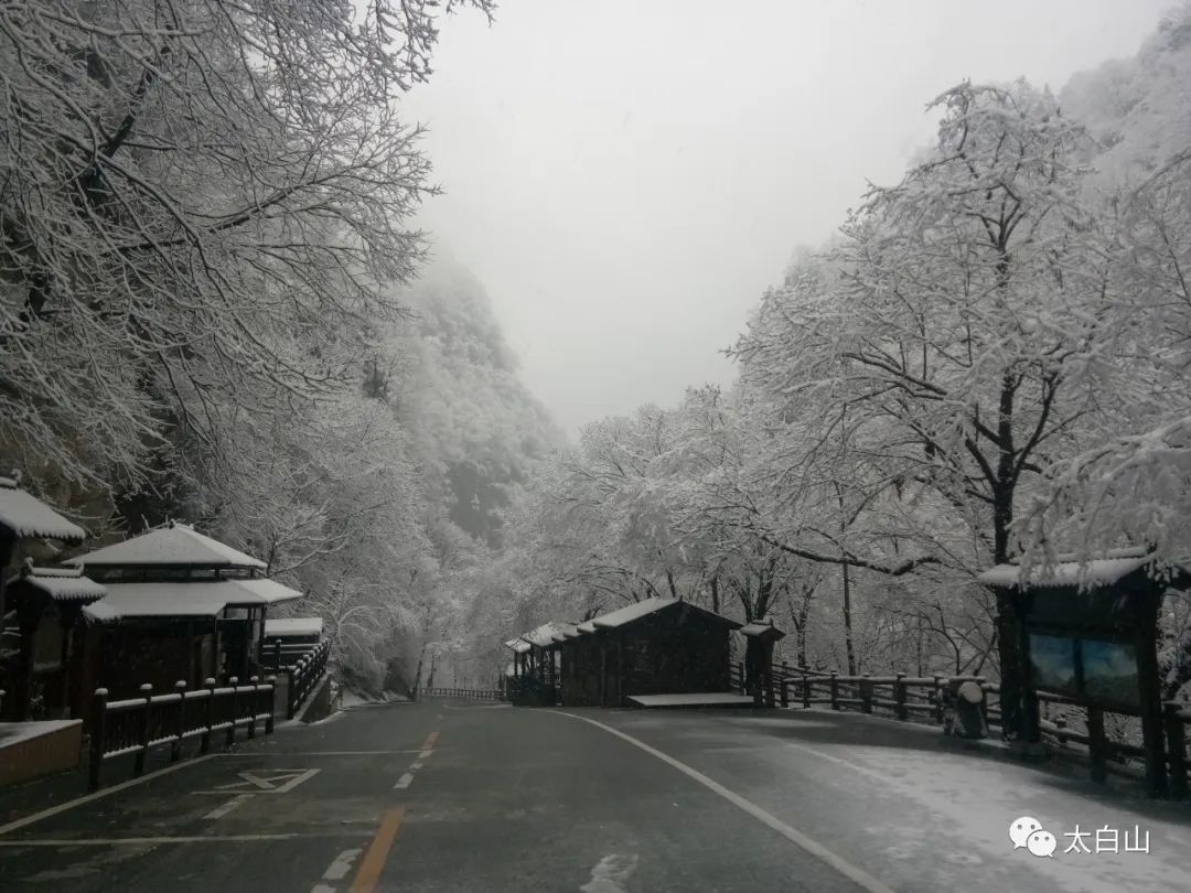 【太白积雪摄影图片】风光摄影_浪迹河山_太平洋电脑网摄影部落