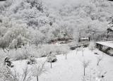 太白山、红河谷春雪飞舞,再现旷世仙山的绝美景致