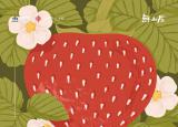 無山居——山涧冬日企划之草莓采摘