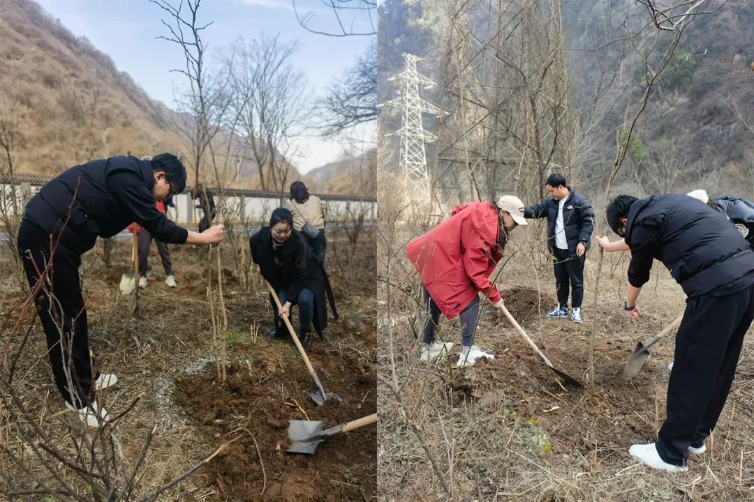 太白山植树季