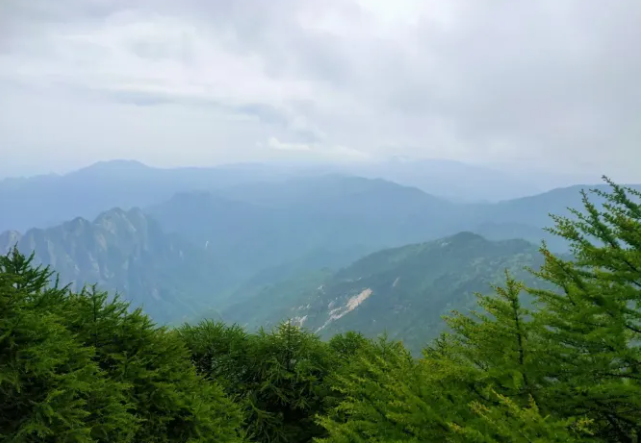 山色苍翠