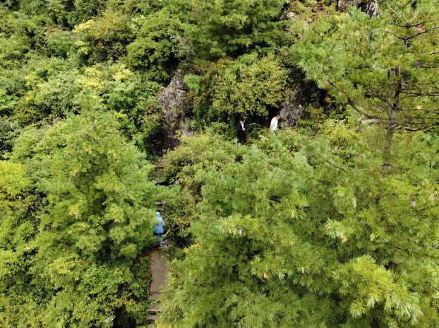 爱护太白山