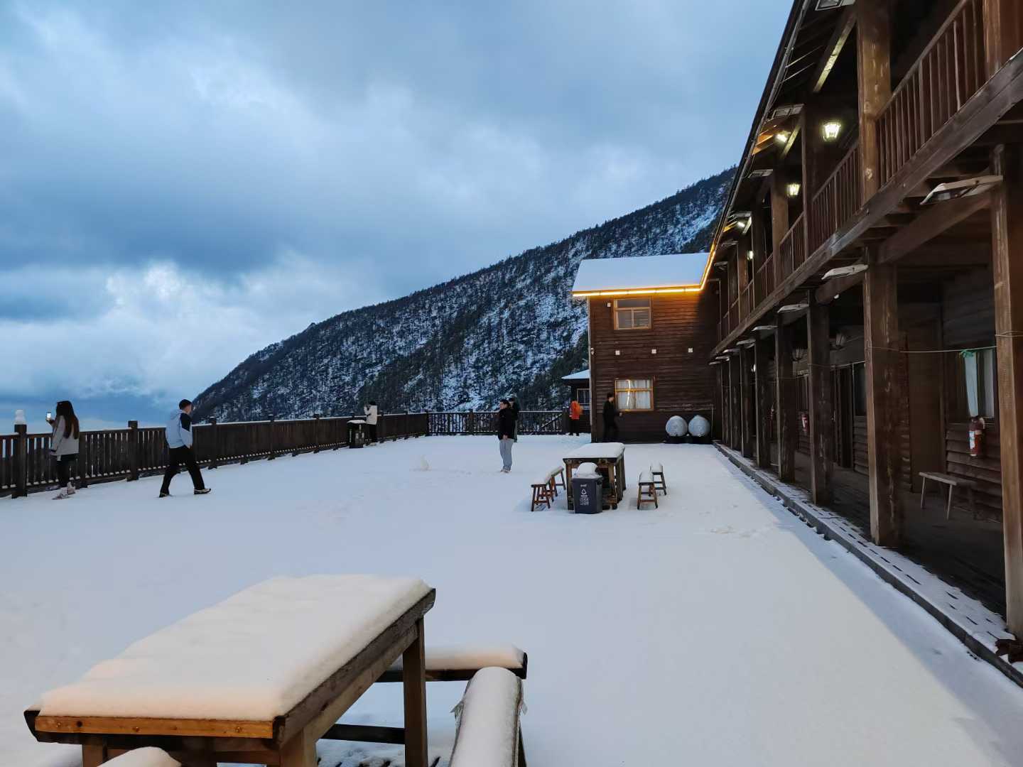 太白山五月飞雪映杜鹃  诗画奇景引全国主流媒体盛赞