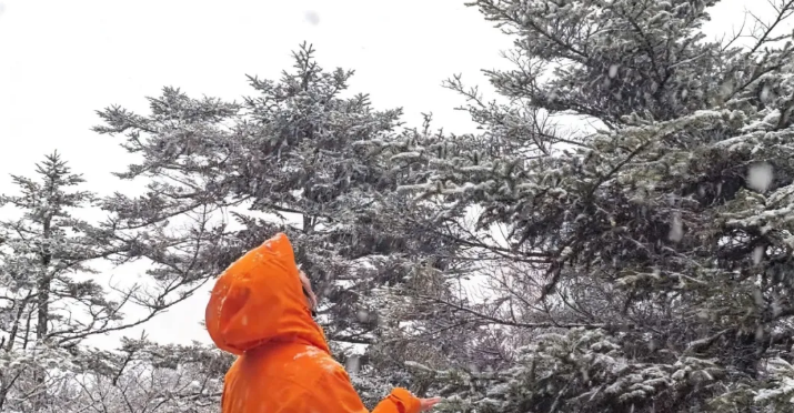 关于太白山景区1月10日开放至拜仙台的公告