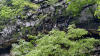 QQ20260507-100856
